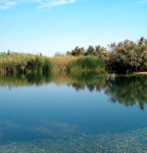 תמונה של עינות צוקים (עין פשחה) וקומראן - למטייל בישראל (טיולי)