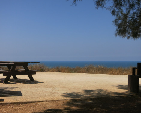 תמונה מתוך למטייל בישראל (טיולי)