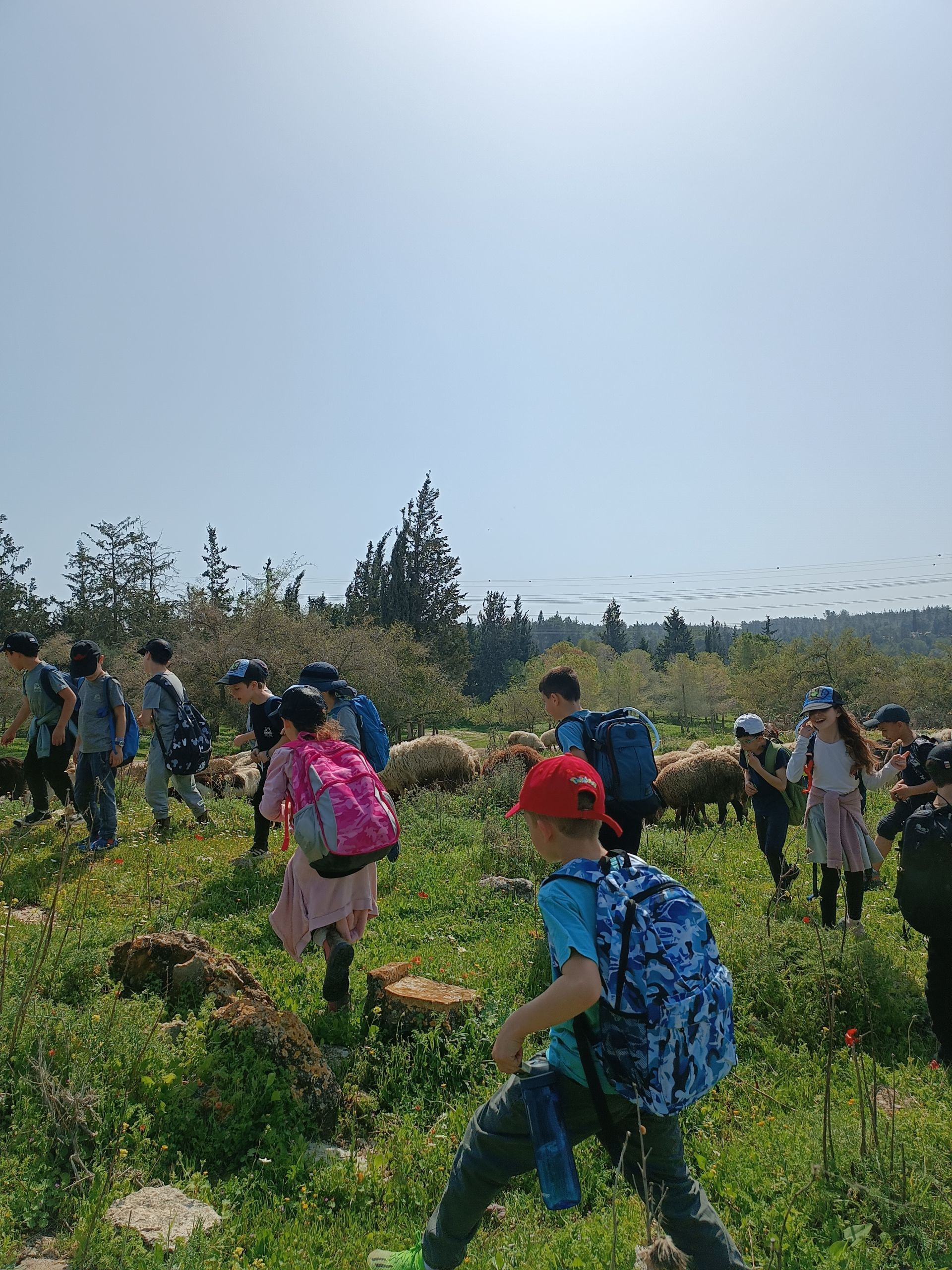תלמידים בטיול בית ספר (אילוסטרציה, למצולמים אין קשר לכתבה) | צילום: שי קדם