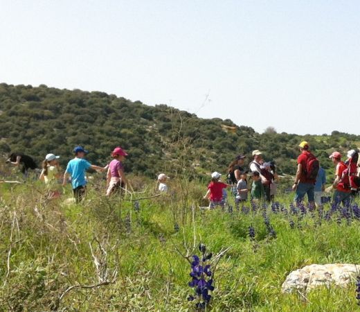 תמונה של לטיול יצאנו - הסעה תיאמנו: 6 כללי ברזל בבחירת הסעות לטיולים - למטייל בישראל (טיולי)