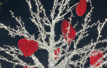 Winter Dreams 2024 - במרחק נסיעה: ביקרנו במקום שהכי מרגיש כמו שוק כריסמס באירופה (3)