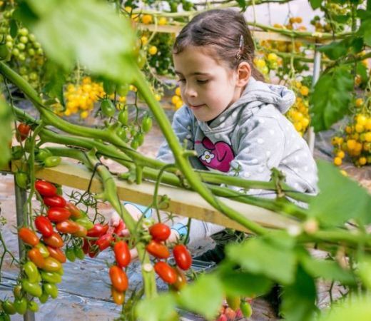 תמונה של ארץ זבת חלב ודבש: מה עושים בשבועות עם הילדים? - למטייל בישראל (טיולי)