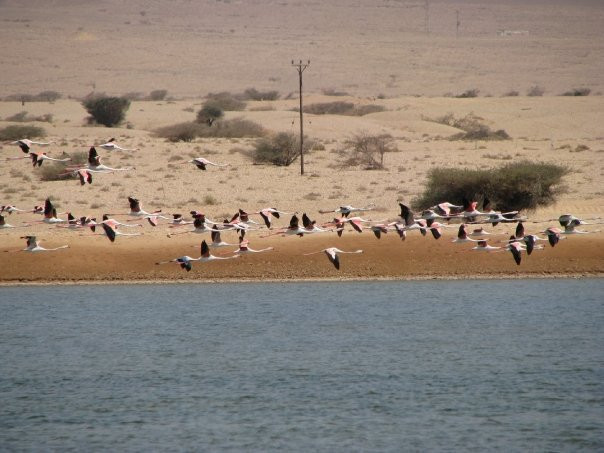 תמונה מתוך אתר למטייל בישראל (טיולי)