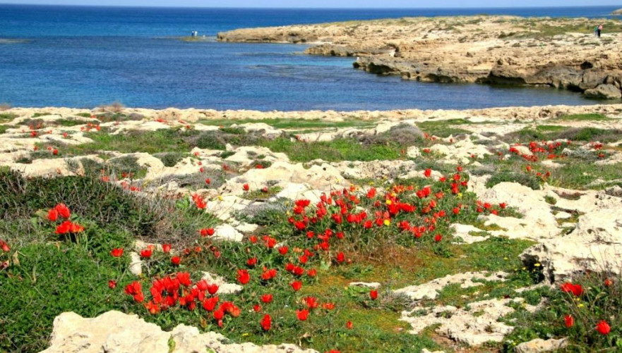 תמונה מתוך תוכן באתר למטייל בישראל (טיולי)