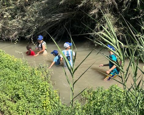 תמונה מתוך למטייל בישראל (טיולי)