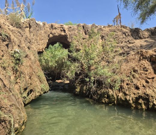תמונה של נחל צלמון תחתון: בדרך לכנרת עם המוביל ההפוך - למטייל בישראל (טיולי)