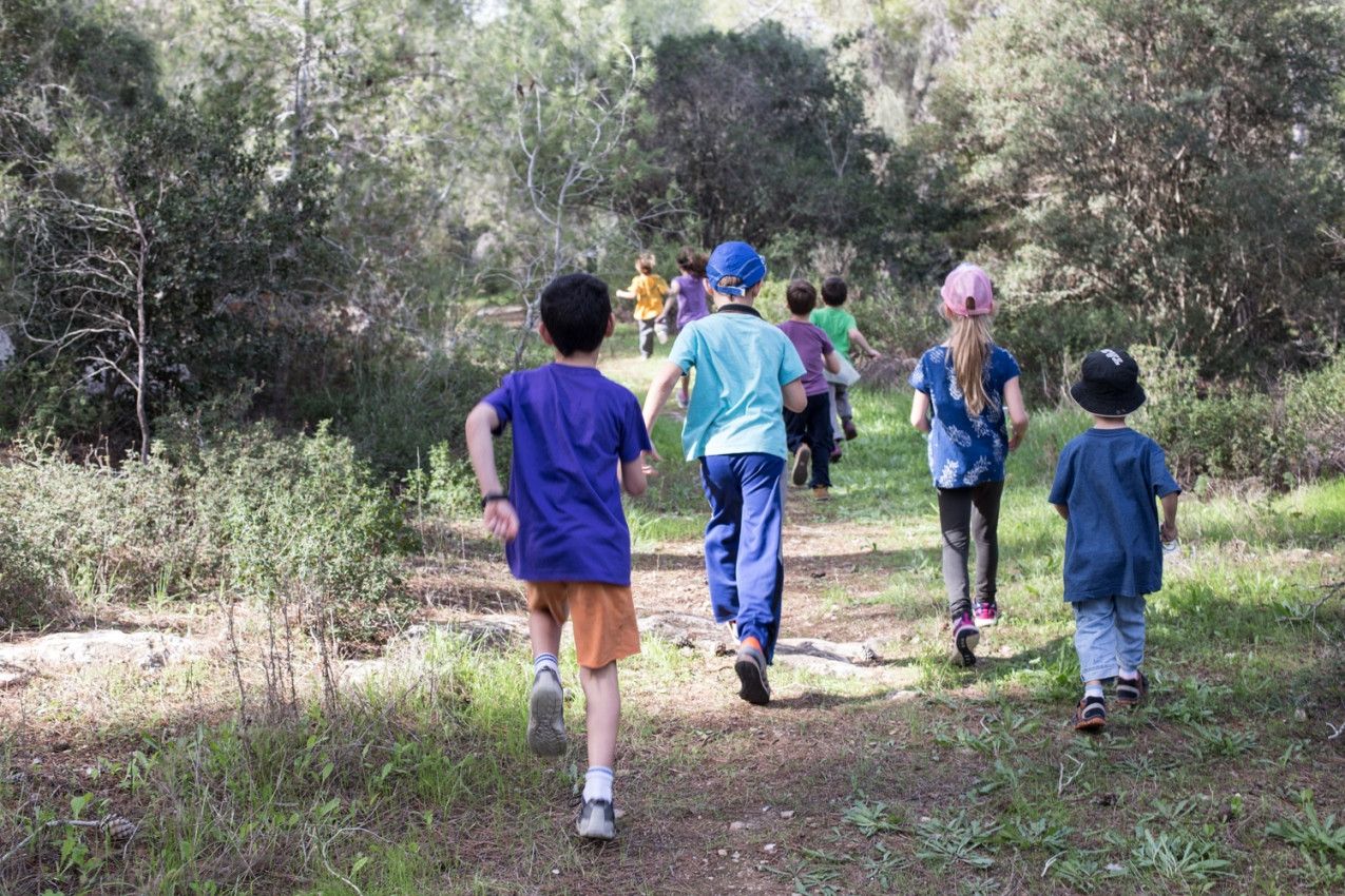 מטיילים ביער בן שמן | צילום: טל סיון-ציפרין
