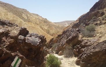 נחל קרקש (3)