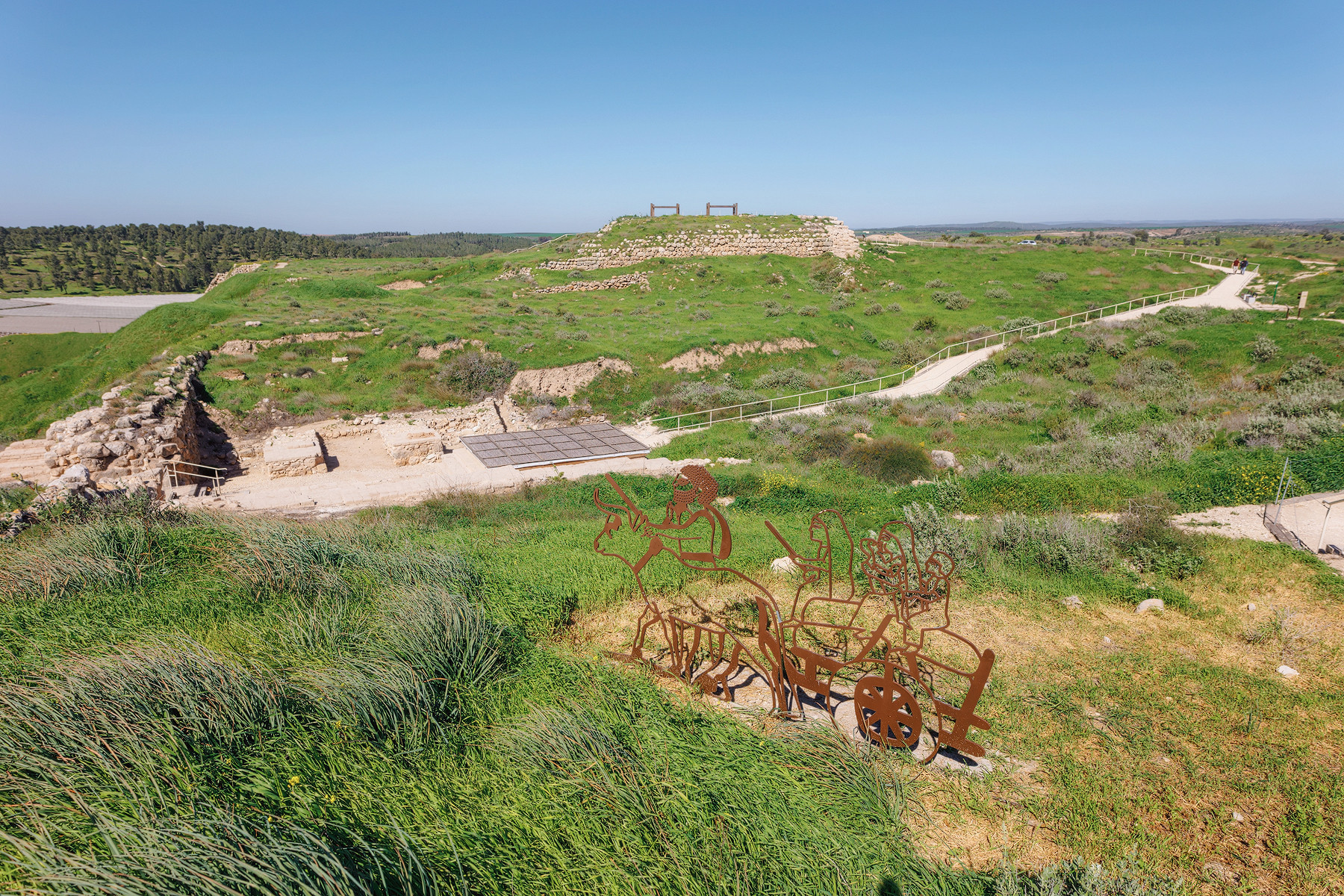 צילום: מיכאל פרוסוקולב