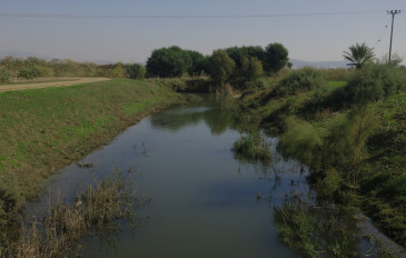 יום כיף באזור הקריות: טבע עירוני ומשחקים עם חיות (2)