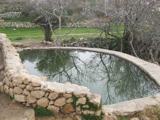 צילום: מעיינות בהר