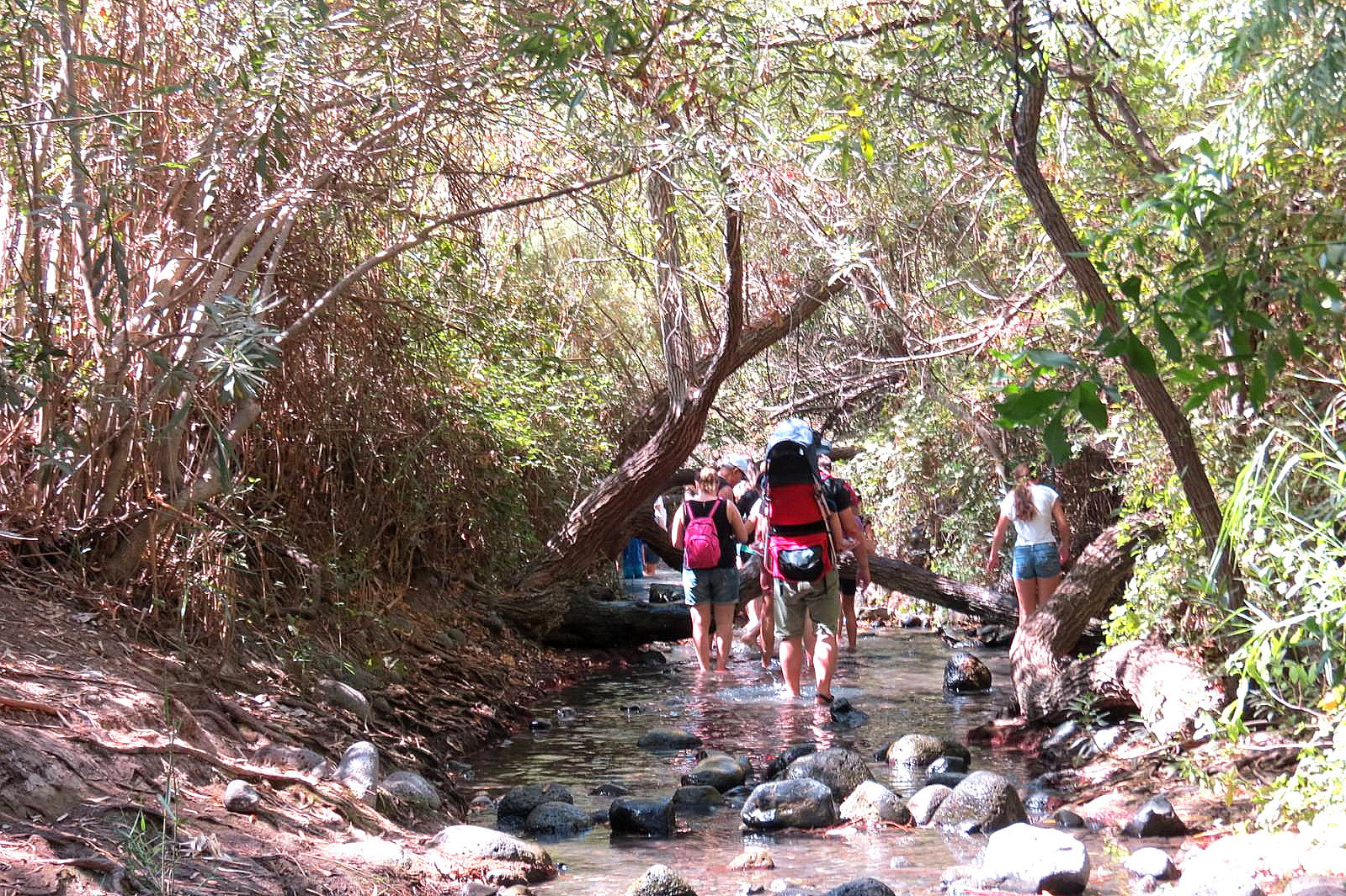 צילום: יוחאי כורם