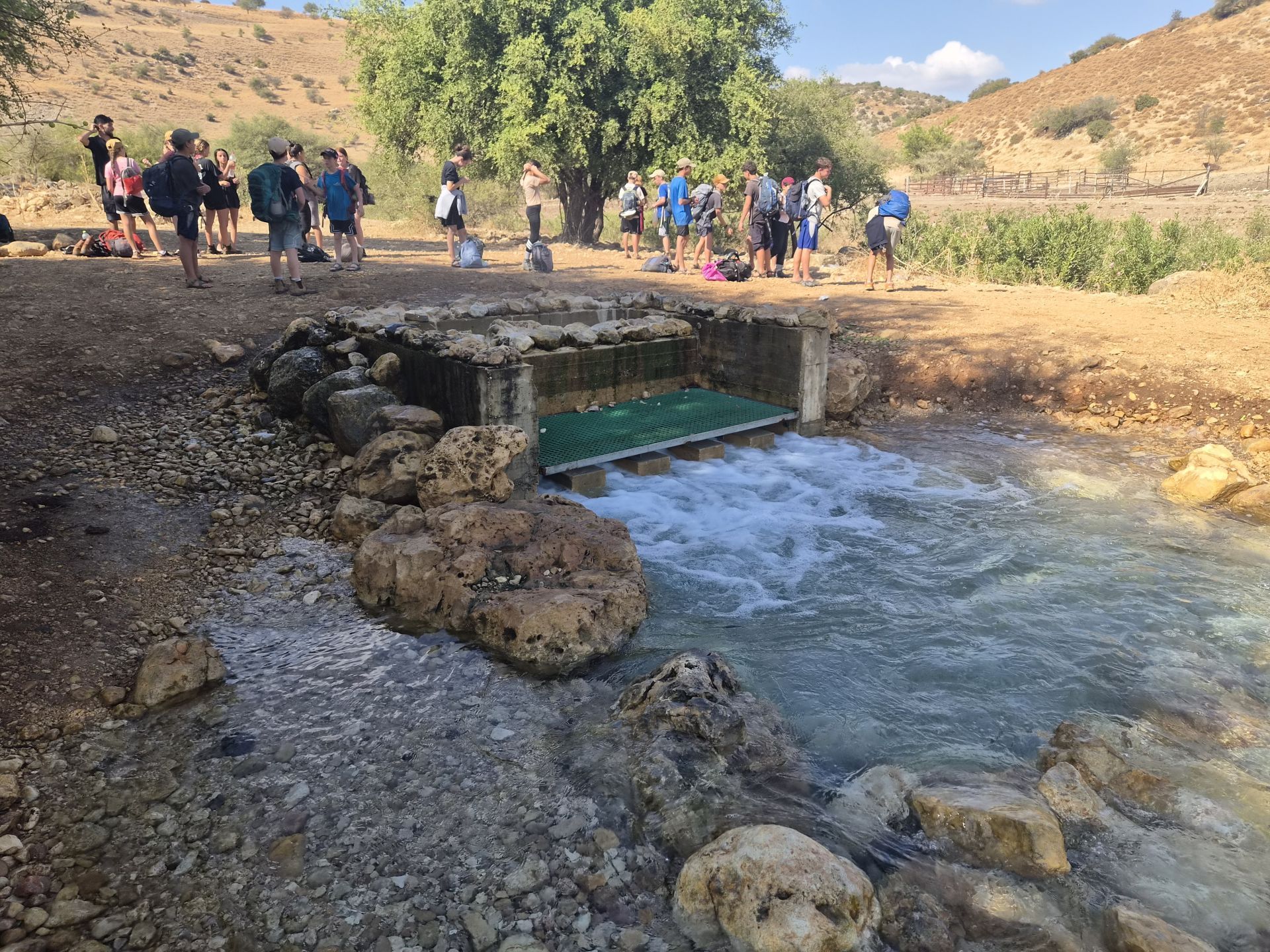 ככה נראה היום מעיין? | צילום: שי קדם