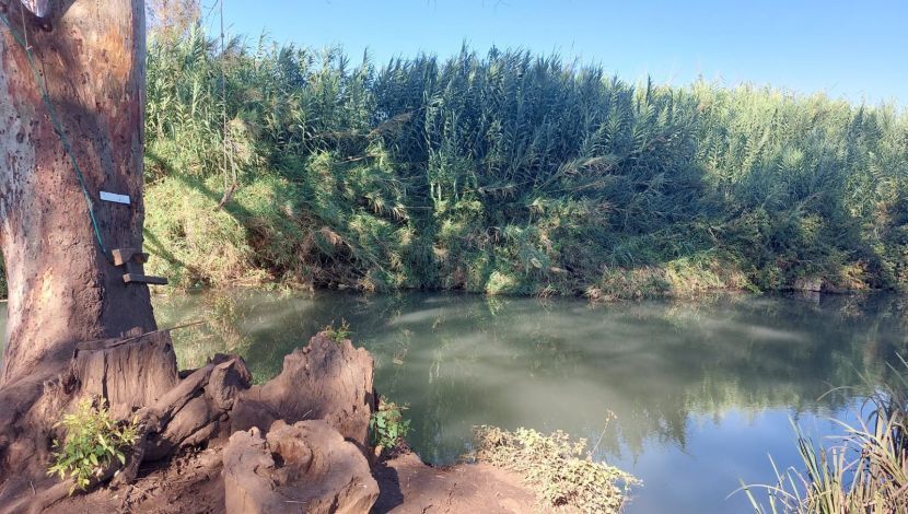יום כיף באזור פתח תקווה: טיול קליל ופיקניק במקורות הירקון (1)