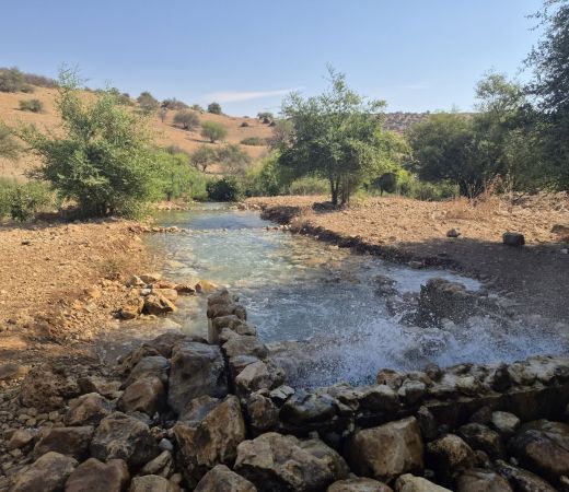 תמונה של נחל צלמון: עין רביד - נקודת המוצא של המוביל ההפוך - למטייל בישראל (טיולי)
