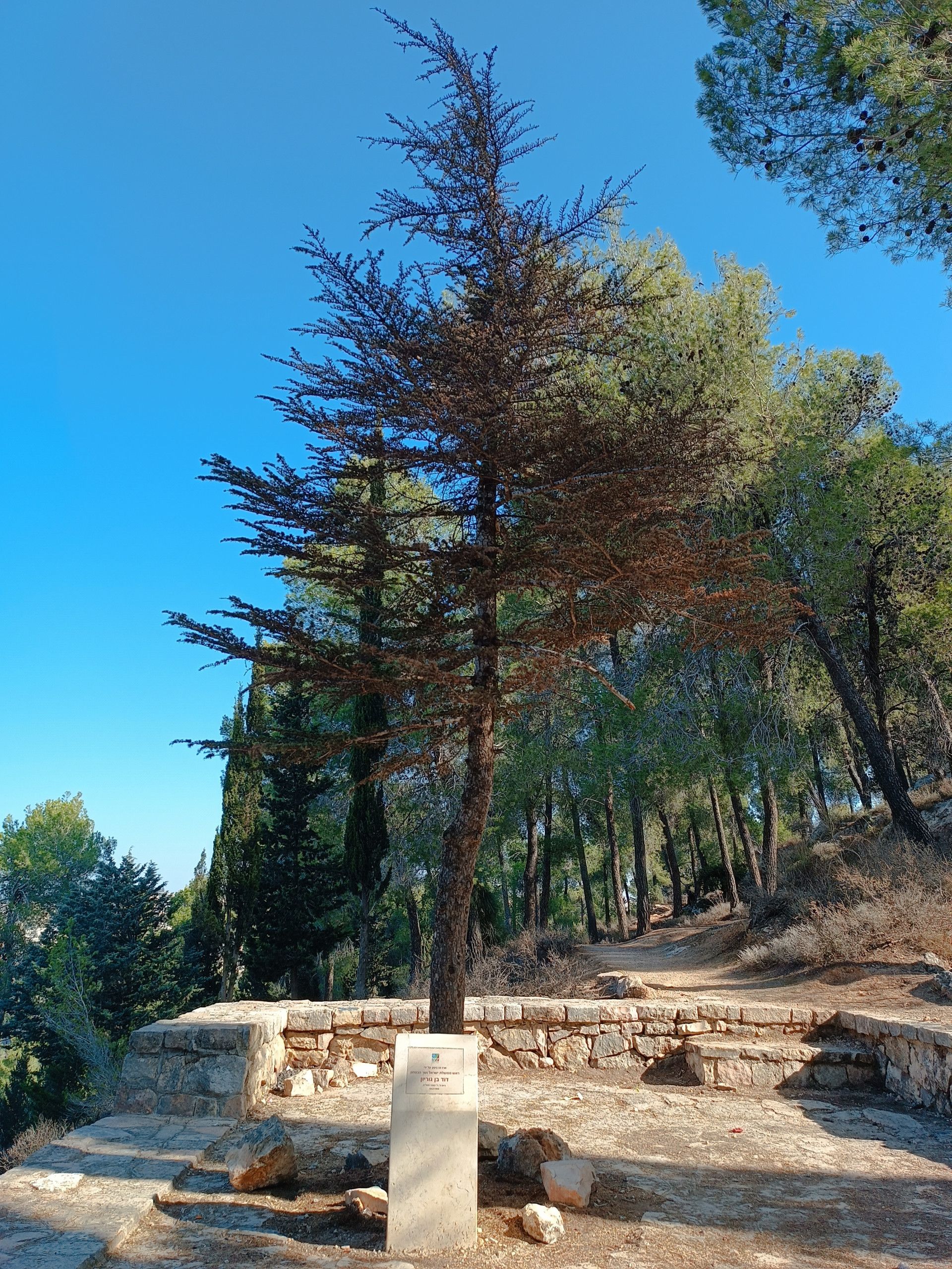 בן גוריון היה פה | צילום: שי קדם