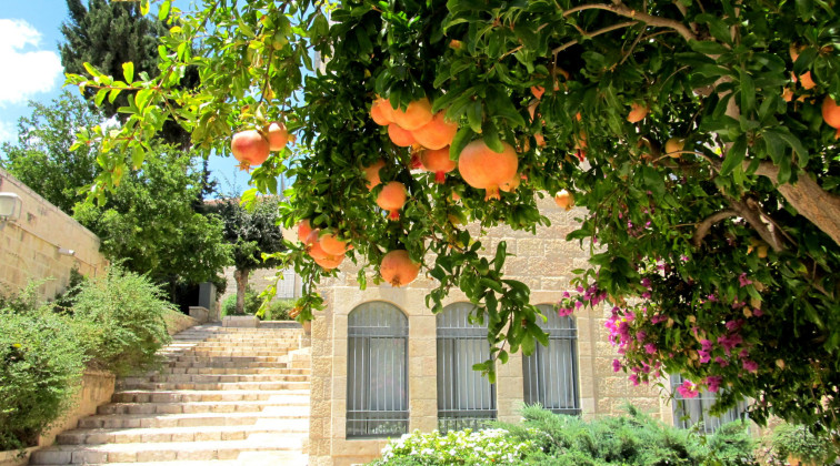 תמונה של מתניעים את השנה החדשה: 10 מסלולי טיול קלילים וכיפיים לחג - למטייל בישראל (טיולי)