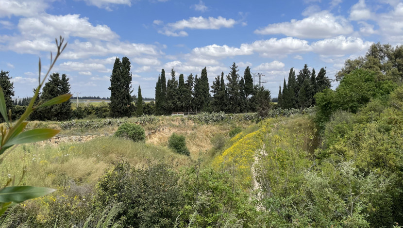גבעת תום ותומר - שפלת יהודה: 7 חוויות כפריות בין נופים, טעמים ואנשים שכדאי להכיר (1)