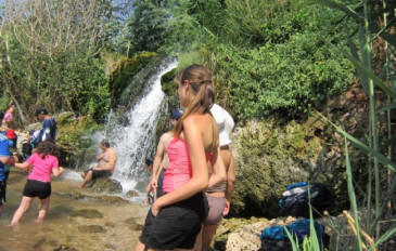 סובב כנרת דומוס גליליאה מפל נסתר, מג'רסה ועוד... (2)