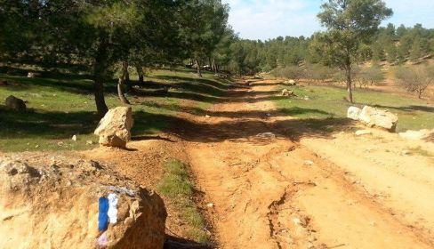 תמונה של קטע מספר 26: ממיתר להר עמשא - למטייל בישראל (טיולי)