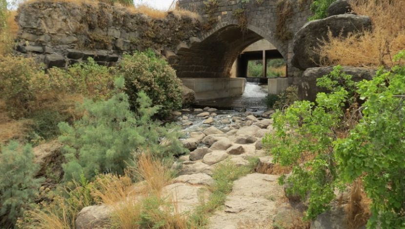פארק בית שאן ותחנת הקמח - פארק בית שאן וטחנת הקמח (1)