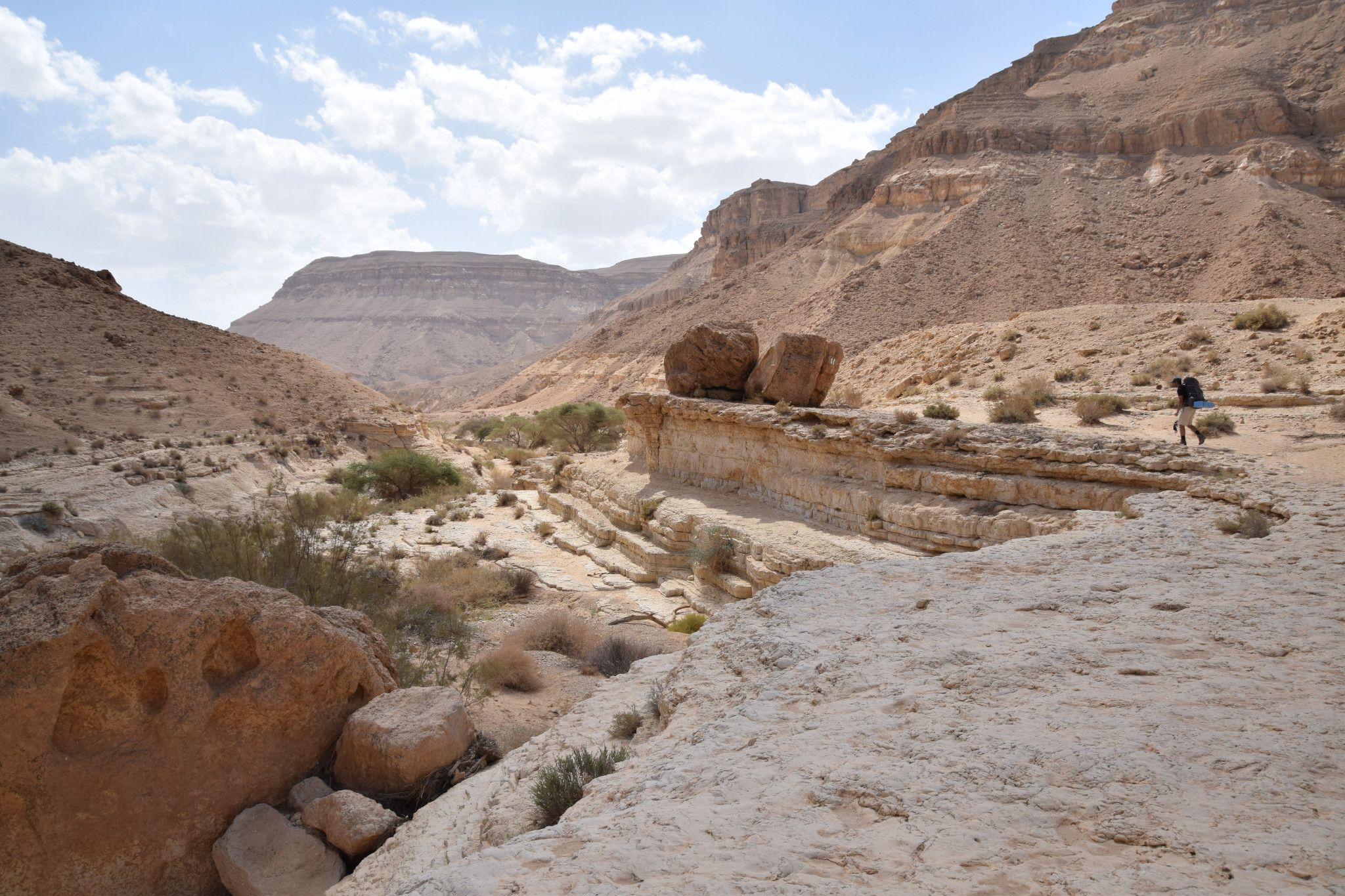 צילום: אינה מנשה