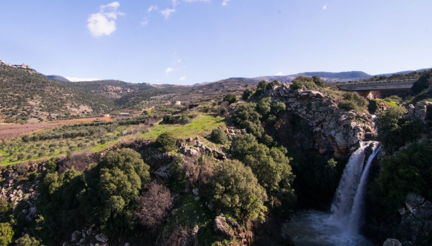 צילום: מיכאל גל