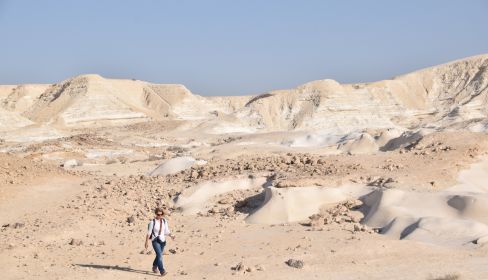 תמונה של חמוקי ניצנה: צורות זורמות בטבע המדברי - טיולי
