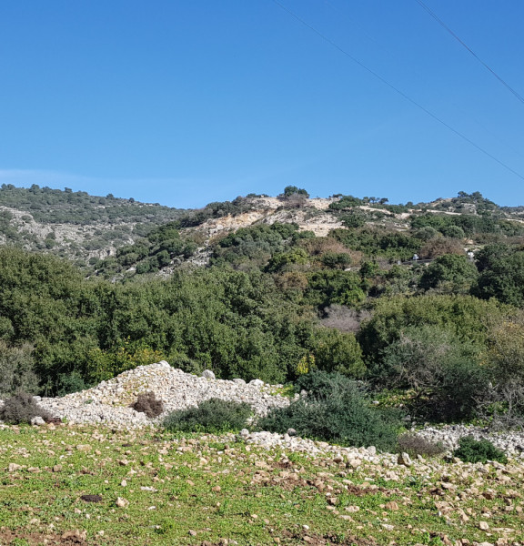 תמונה של מנחל נמר אל יער חניתה - למטייל בישראל (טיולי)