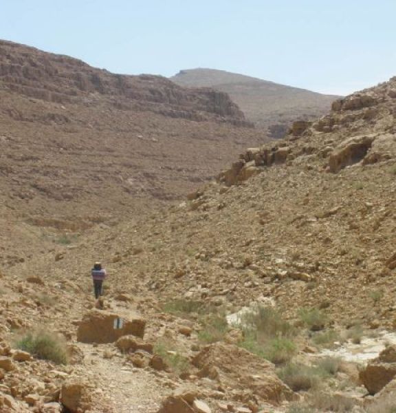 תמונה של שלושה ימים במערב הר הנגב - למטייל בישראל (טיולי)