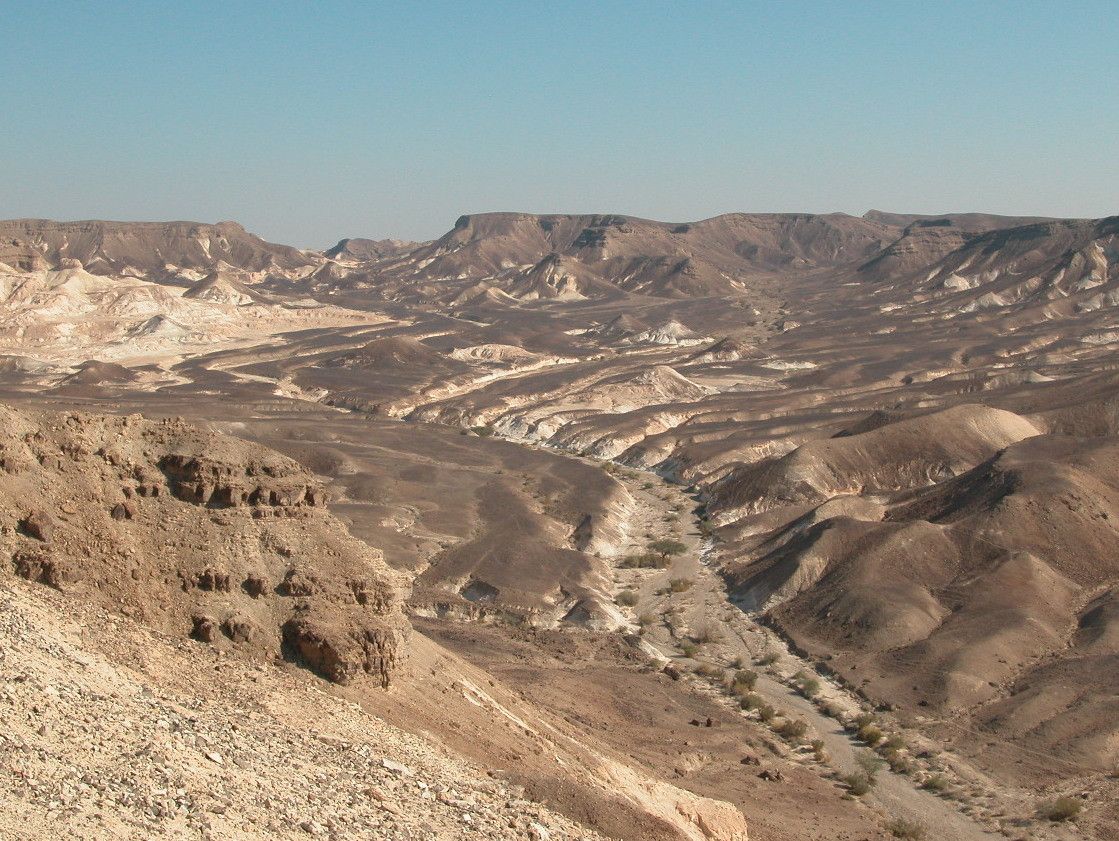 טיול ולילה: מסע מדברי על דרך הבשמים - למטייל בישראל (טיולי)
