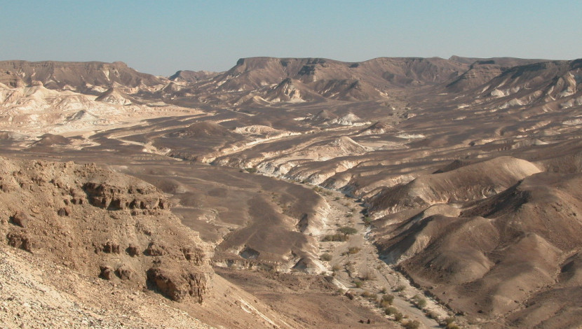 דרך הבשמים - טיול ולילה: מסע מדברי על דרך הבשמים (1)