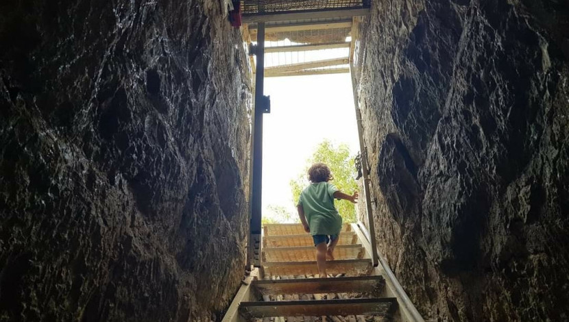 ❂ קייטנת נכדים (1)