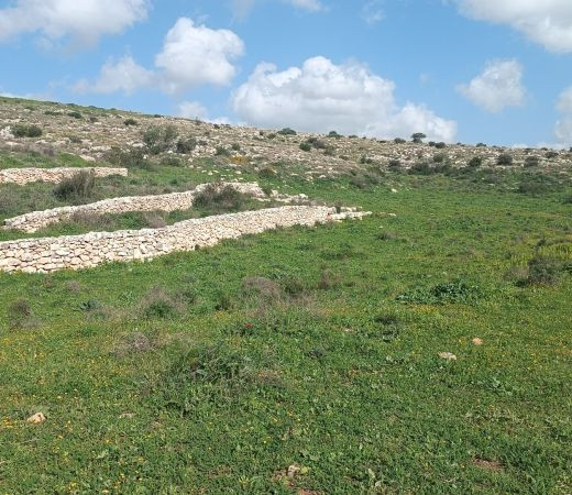 תמונה של הגבעות הדרומיות במודיעין - למטייל בישראל (טיולי)
