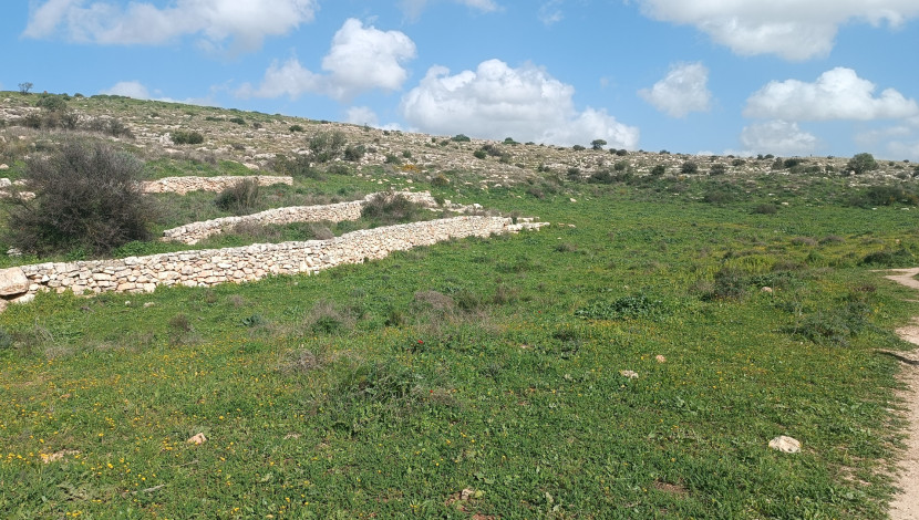 הגבעות הדרומיות - הגבעות הדרומיות במודיעין (1)