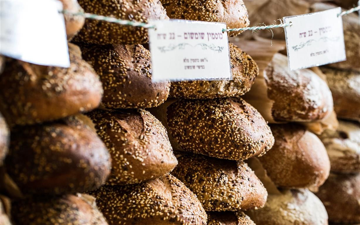 תמונה מתוך תוכן באתר למטייל בישראל (טיולי)