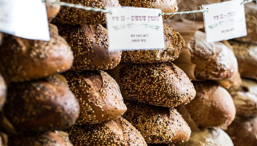 תמונה מתוך תוכן באתר למטייל בישראל (טיולי)