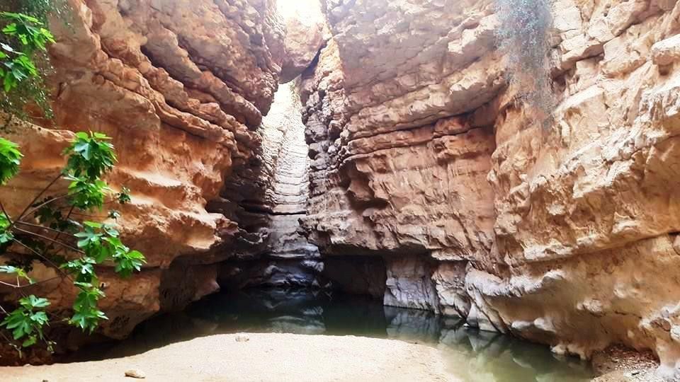 גב חווה | צילום: יניר יגל