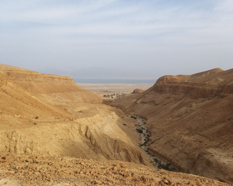 תמונה מתוך למטייל בישראל (טיולי)