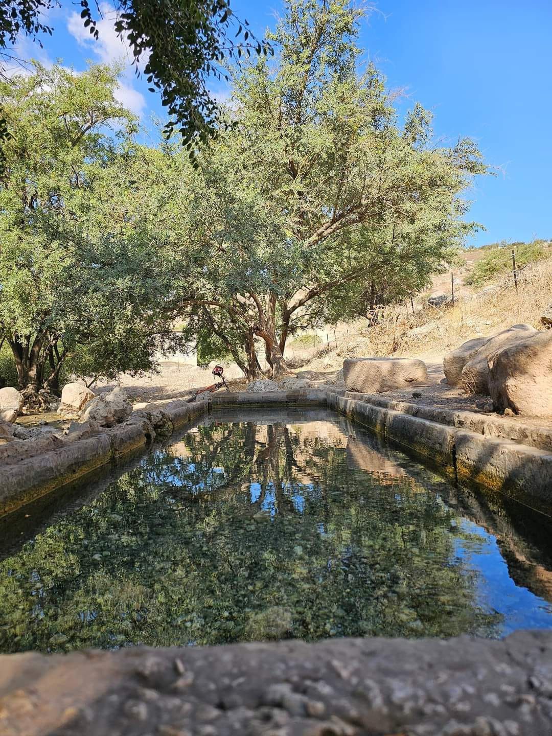 עין רכש | צילום: יואל וינוקור