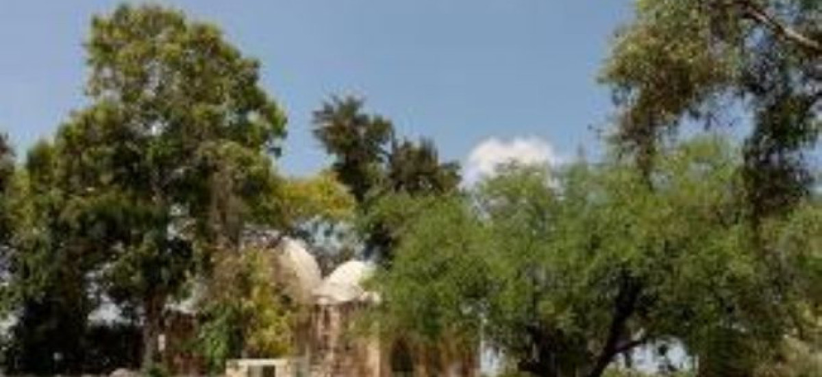 גן הסנהדרין ביבנה (1)