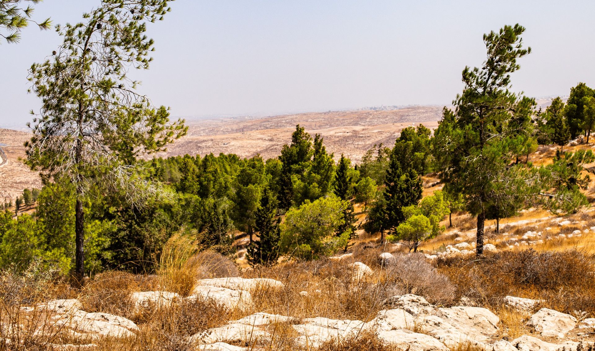 תמונה מתוך אתר למטייל בישראל