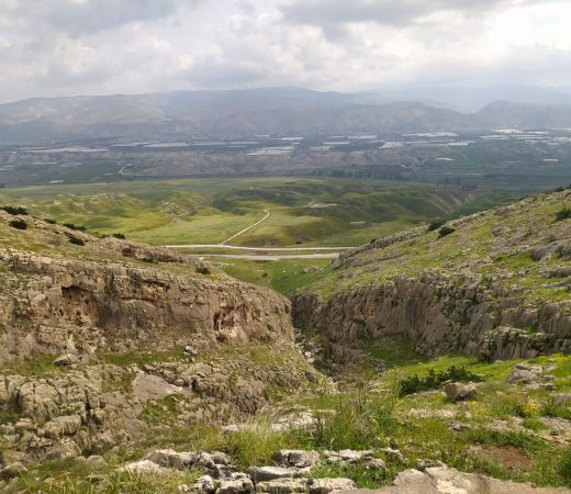 תמונה של לאן מטיילים בסופ"ש: המדבר והבקעה פורחים - בואו לפני שזה נגמר - למטייל בישראל (טיולי)