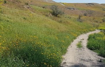 מגשר לגשר ומה שבינהם  (2)