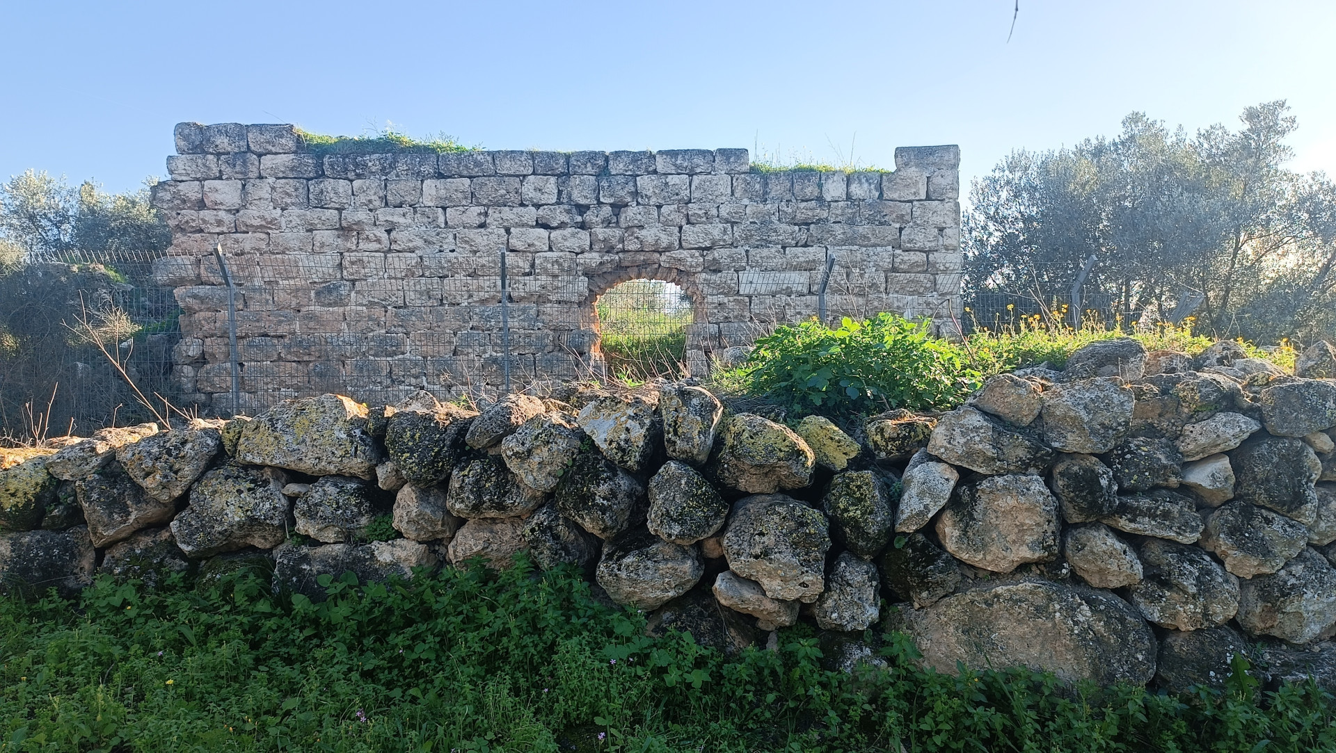 חרבת אום רוגמן | צילום: שי קדם