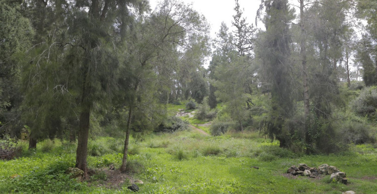 דרך בורמה