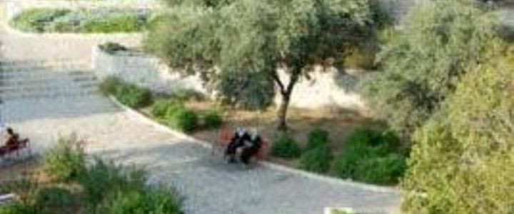 חצר המטרה (1)
