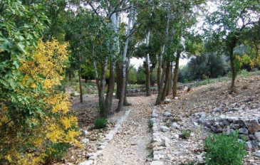 יער ביריה - מתי נחזור לטייל בצפון באופן מלא? קק