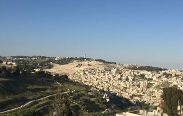 אבו תור :  קסם של שכונה בקצה עיר הבירה (3)