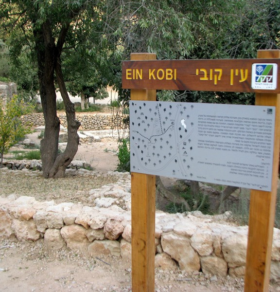 תמונה של עין קובי - למטייל בישראל (טיולי)